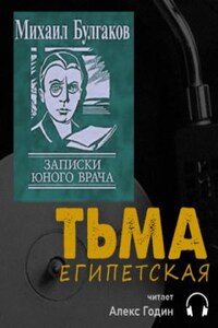 Записки юного врача: 5. Тьма египетская