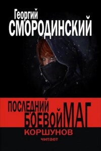 Последний Боевой Маг