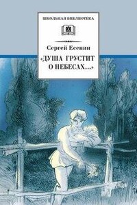 Стихотворения и поэмы. Сборник: «Душа грустит о небесах...»