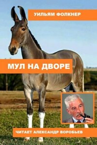 Мул на дворе