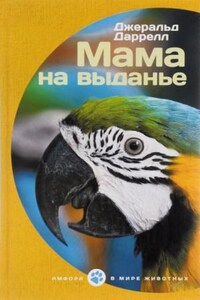 По всему свету: 1.3.02; 14.02. Сборник «Мама на выданье»