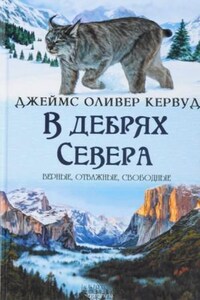 В дебрях севера