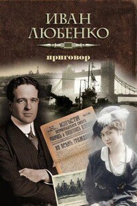 Клим Ардашев 13. Приговор