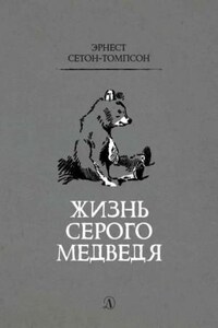 Жизнь серого медведя