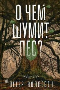 О чём шумит лес?