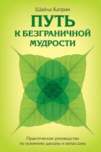 Путь к безграничной мудрости. Практическое руководство по освоению джханы и випассаны