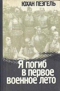 Вышгород-Тоомпеа: 3. Я погиб в первое военное лето