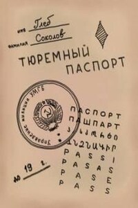 Тюремный паспорт. Часть 4 (16-20)