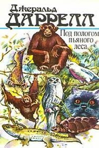 По всему свету: 6. Под пологом пьяного леса