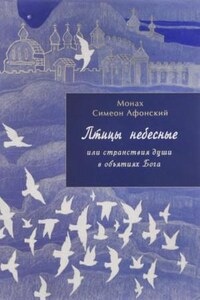 Птицы небесные или странствия души в объятиях Бога. Том I