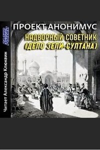 Анонимус: 1. Надворный советник (Дело Зели-султана)