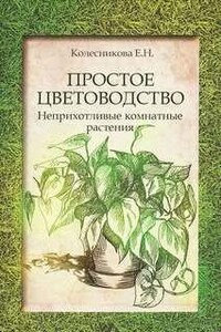 Простое цветоводство: неприхотливые комнатные растения