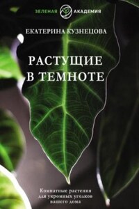 Растущие в темноте. Комнатные растения для укромных уголков вашего дома