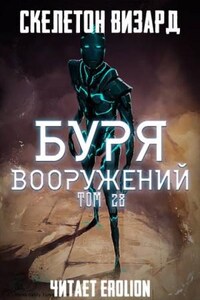 Буря Вооружений. Том 28