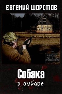 Собака в амбаре