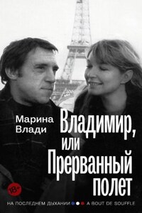 Владимир, или Прерванный полёт