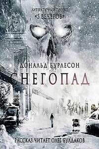 Антология «Пять вечеров-1: В снегах»: 4.Снегопад