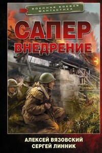 Сапер: 2. Внедрение